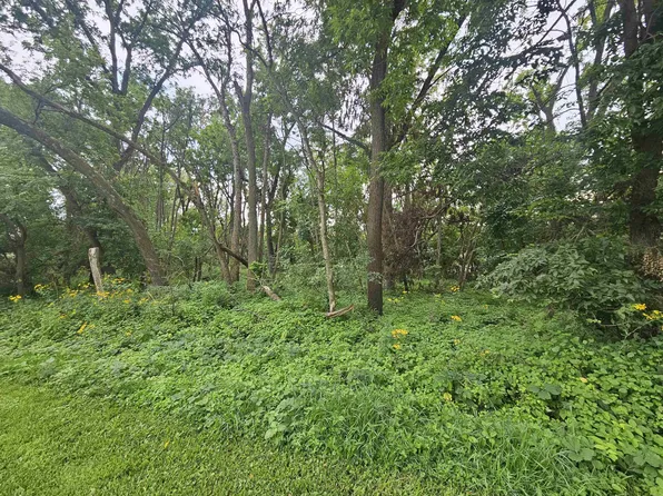 E Water St, Shell Rock, IA 50670