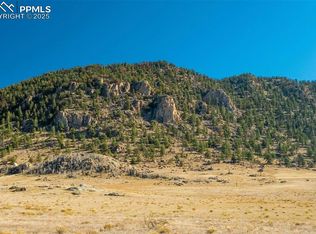 1354 Puma Hills Rd, Lake George, CO 80827