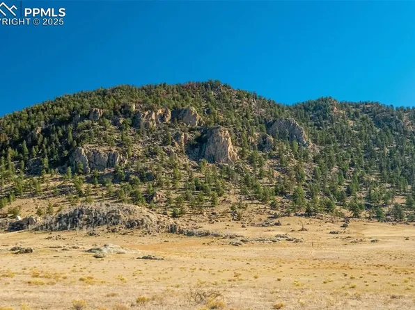 1354 Puma Hills Rd, Lake George, CO 80827