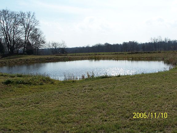 18 foot deep and fully stocked, huge frogs