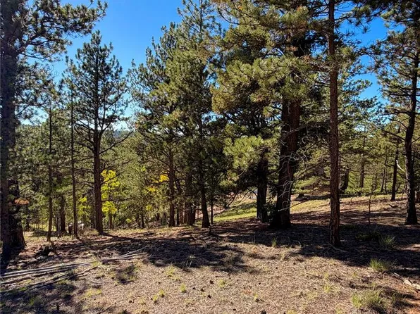 31 Pike View Cir, Divide, CO 80814