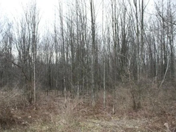 0 Braddock Rd, Athens, PA 18810