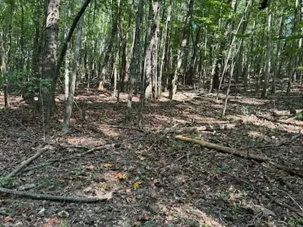 0 Ball Park Rd, Phil Campbell, AL 35581