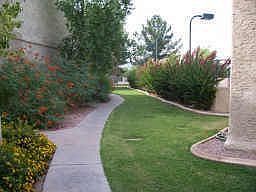 Well Maintained Community
