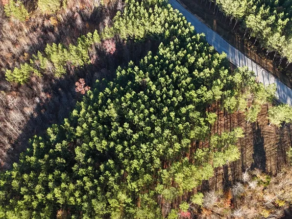 252 Streamside Dr Lot 142, Linden, TN 37096