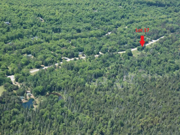 17 S Daisys Way, Kinross, MI 49752