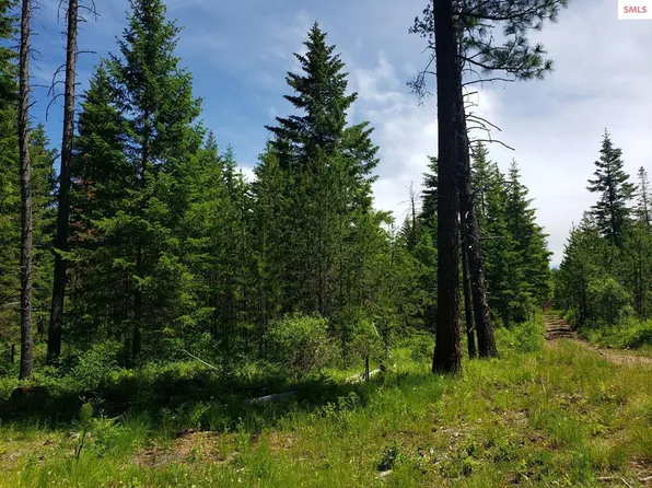 Nna W Adams St, Spirit Lake, ID 83869