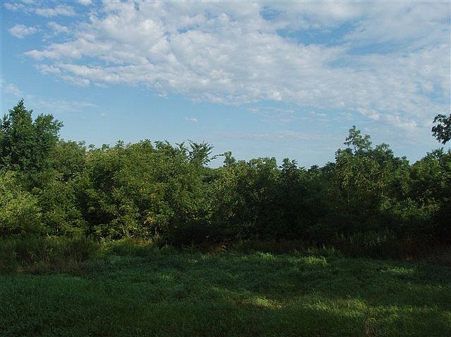 2nd image of LOT 3 County Road J