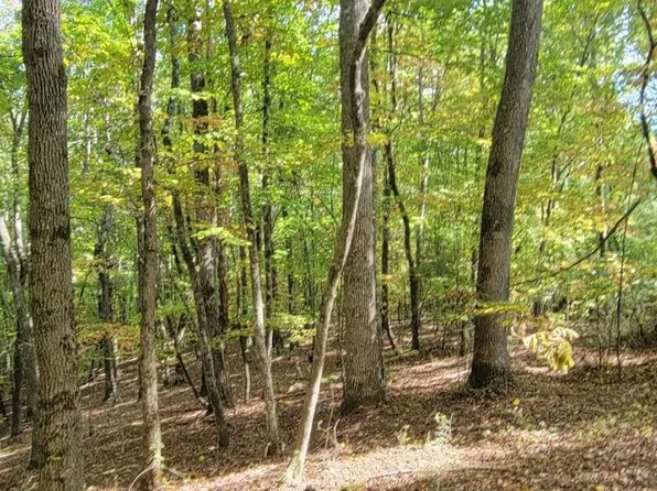 31-A&B Mountain View Ln, Hayesville, NC 28904