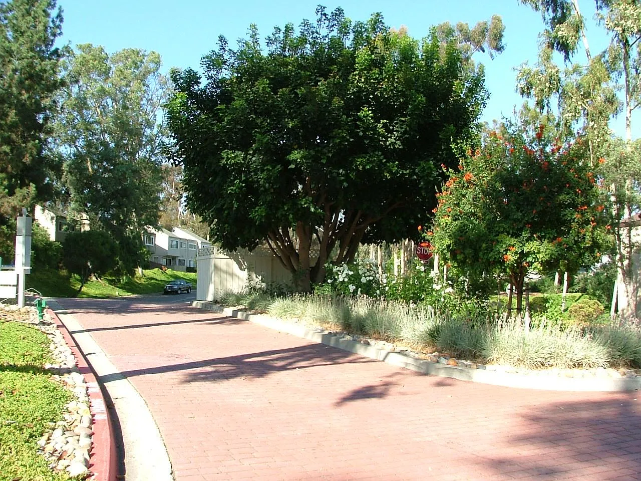 3 bed, 2.5 bath, 1722 sqft, $3,900 — Photo 3