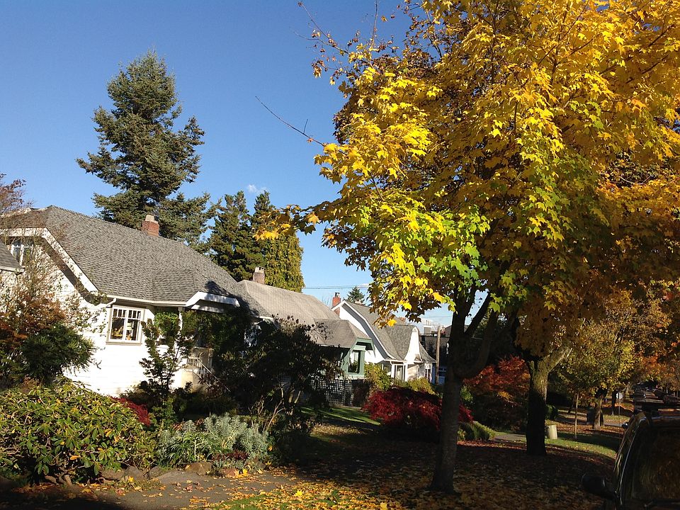 Beautiful W 26th Ave in Dunbar, just east of Dunbar St.