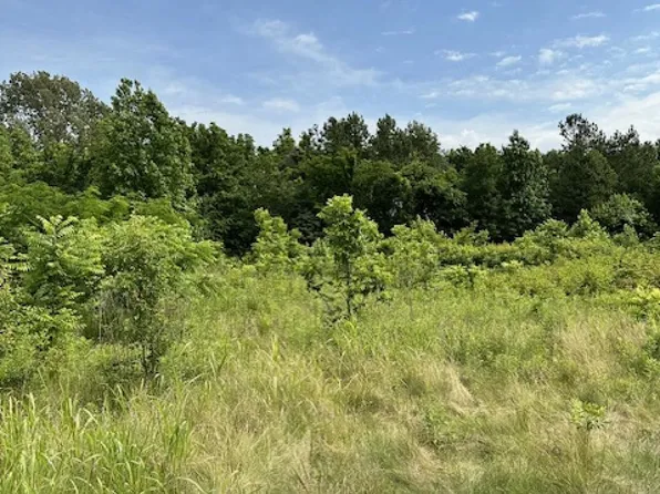 213 Laneview Concord Rd, Trenton, TN 38382