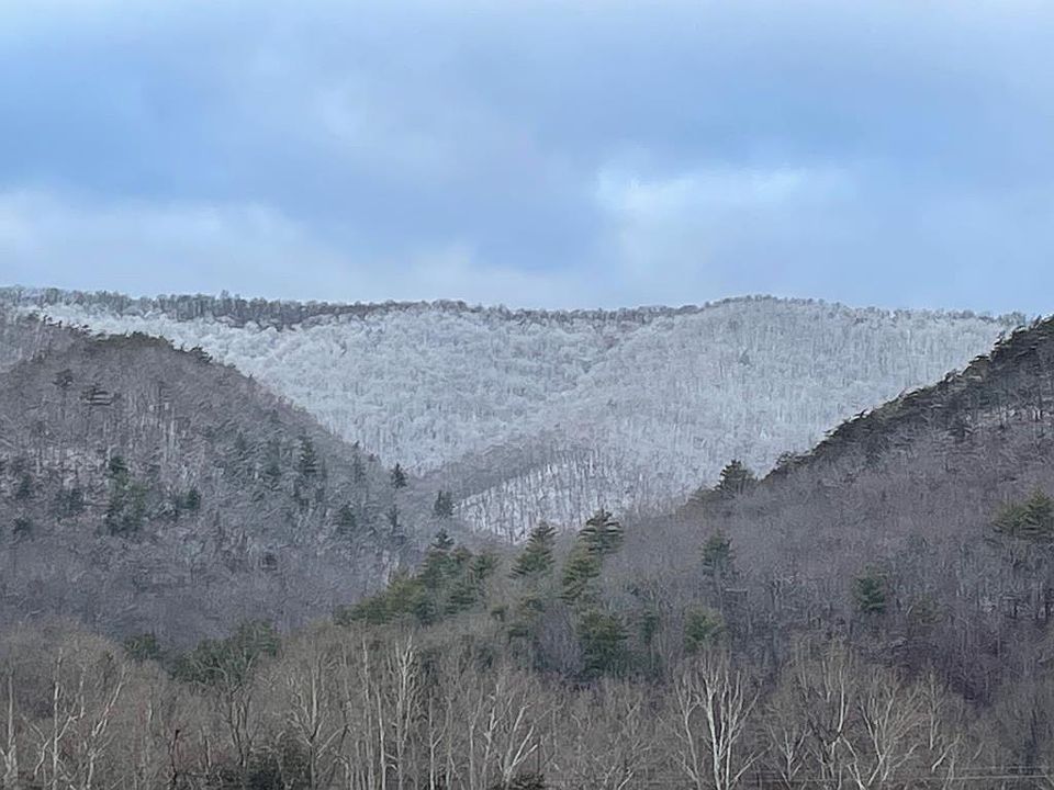 1st image of 7305 Big Back Creek Rd