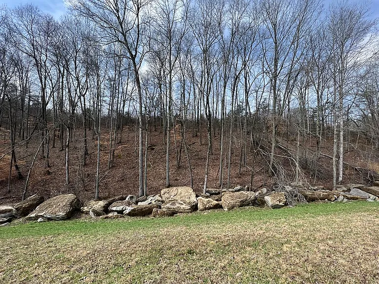 3513 Haystack Ln — Photo 8