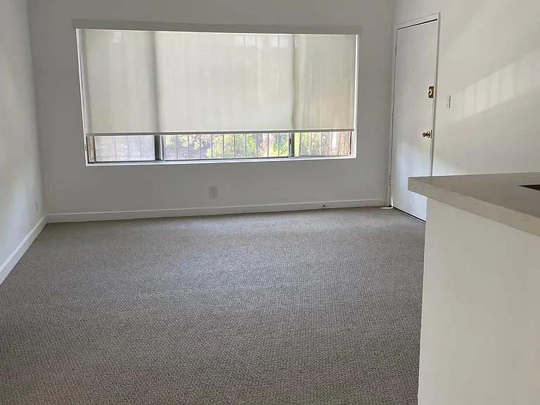 3115 Ivy St #8 — Photo 9