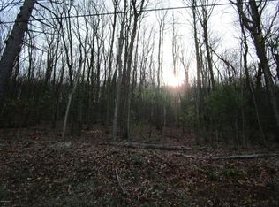 Vacant LOT RT890, Sunbury, PA 17801