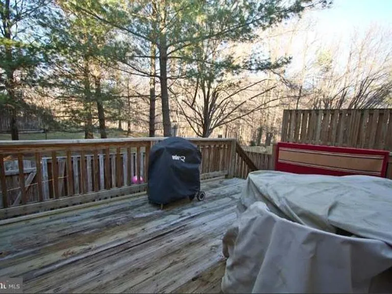 12520 Fanleaf Ct — Photo 31