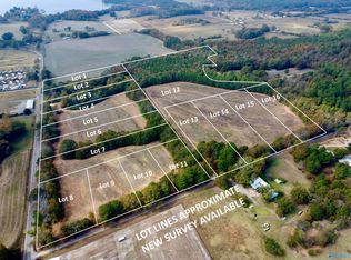 7 County Road 67, Langston, AL 35755