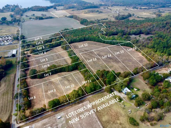 11 Cemetery Rd, Langston, AL 35755