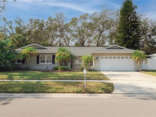 14310 RAVENWOOD LANE, TAMPA, FL 33618