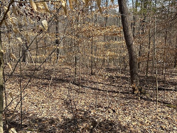 4th image of 0 Park Dr Lot 284