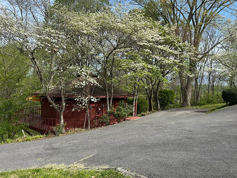 Poplar Hill Ln — Photo 25