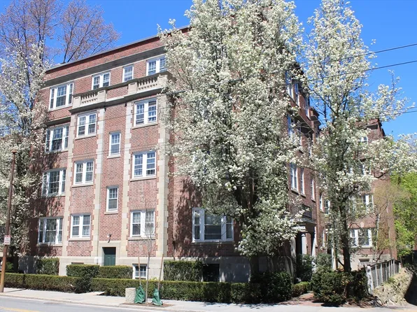 31 Concord Ave APT 11, Cambridge, MA 02138