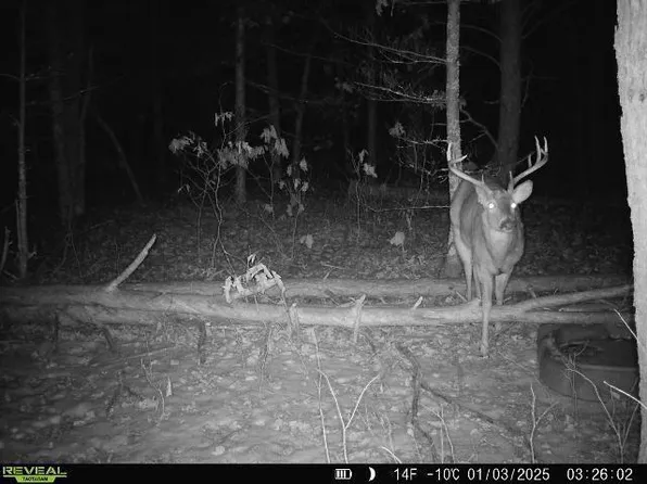 Lot 1 Highway 13, Adams, WI 53934