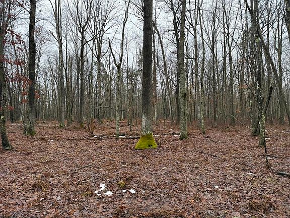 5th image of Mowery Ridge Rd