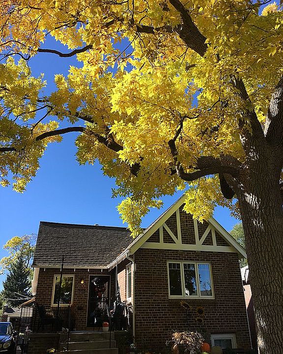 1st image of 639 Cherry St