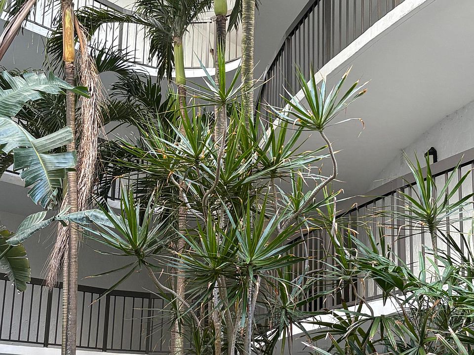 1st image of 1357 NE Ocean Boulevard #316