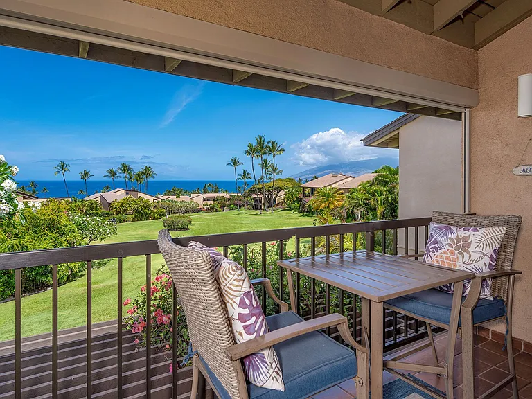 Wailea Alanui Dr — Photo 7