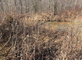 0 Cherokee Ln, Wappapello, MO 63966