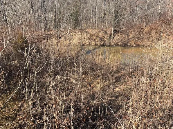 0 Cherokee Ln, Wappapello, MO 63966