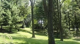 4th image of 2550 Meadowood Ln