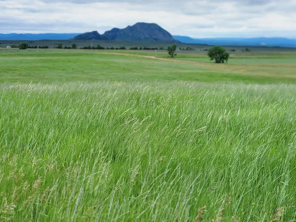 19530 Nine Mile Rd, Sturgis, SD 57785