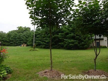 Front yard (toward pole barn)