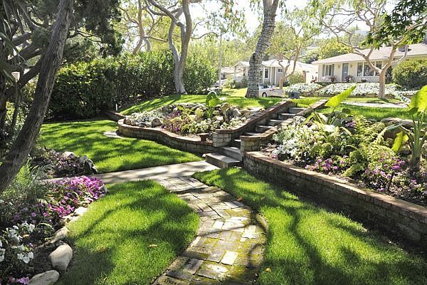 Front Yard