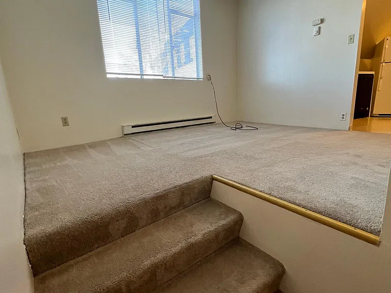 Shannon Apartments — Photo 33