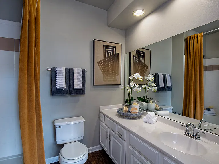 Bathroom with large vanity