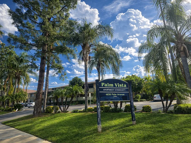 Palm Vista Apartments — Photo 9