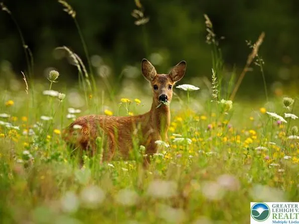 225 Williams Ln, Scotrun, PA 18355