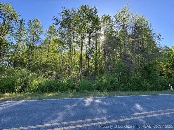 McBryde Mill Rd, Red Springs, NC 28377