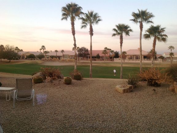 Golf Views