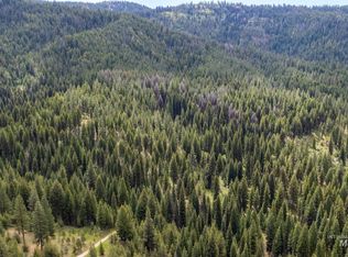 42 Clear Creek Rd, Cascade, ID 83611