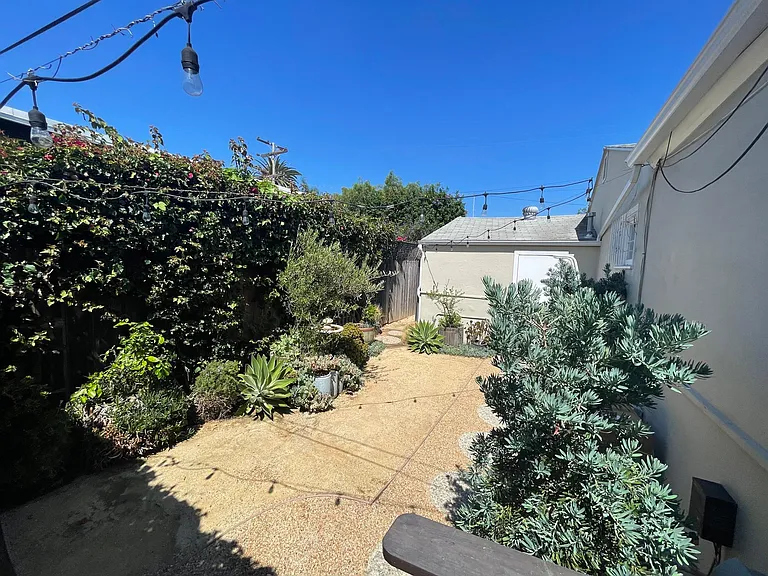 Backyard oasis