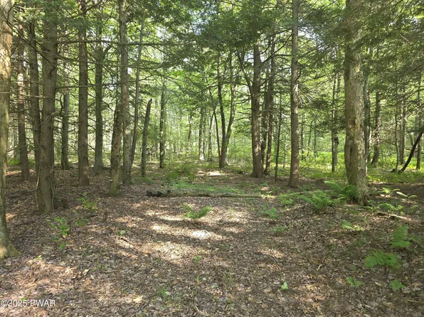 2 Highway 370, Poyntelle, PA 18454