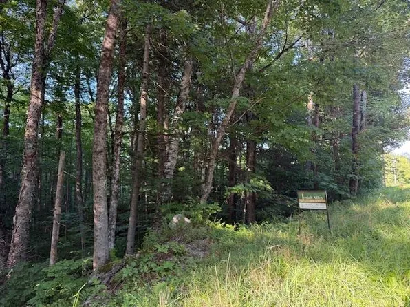 0 Sylvan Ridge Road Lot 25, Winhall, VT 05340