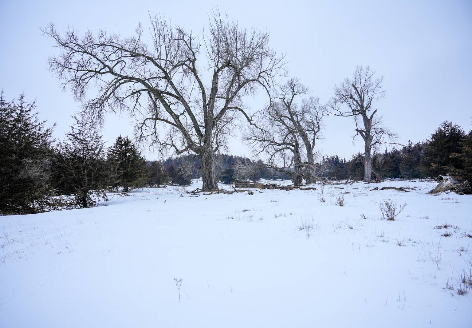 Tbd Tbd, Yankton, SD 57078 MLS 11243701 Zillow