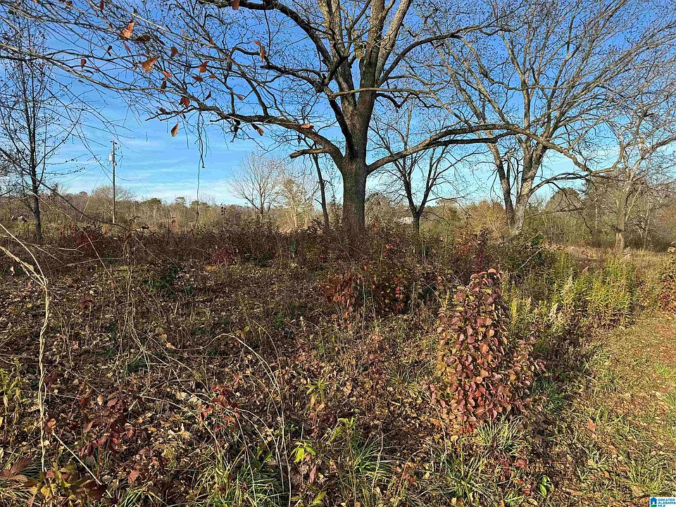 2nd image of 49295 State Highway 79 #0